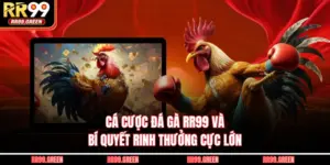 Cá Cược Đá Gà RR99 Và Bí Quyết Rinh Thưởng Cực Lớn