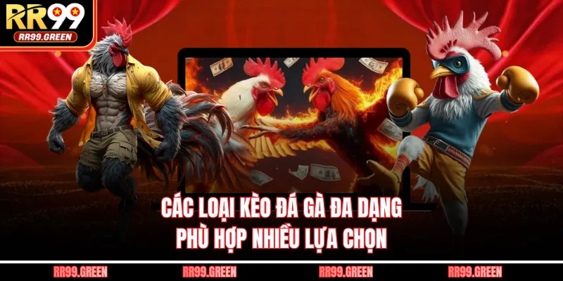 Các loại kèo đá gà đa dạng, phù hợp nhiều lựa chọn