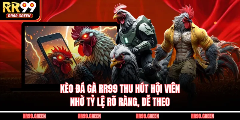 Kèo Đá Gà RR99 Thu Hút Hội Viên Nhờ Tỷ Lệ Rõ Ràng, Dễ Theo