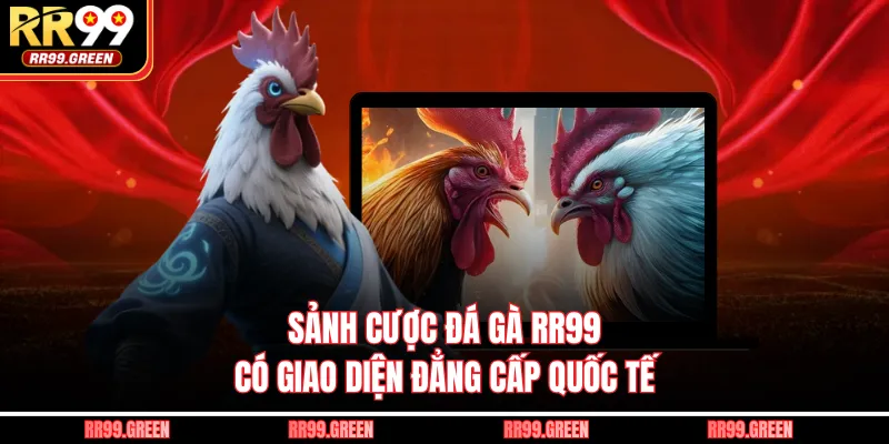 Sảnh cược đá gà RR99 có giao diện đẳng cấp quốc tế