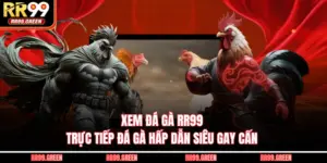 Xem Đá Gà RR99 - Trực Tiếp Đá Gà Hấp Dẫn Siêu Gay Cấn
